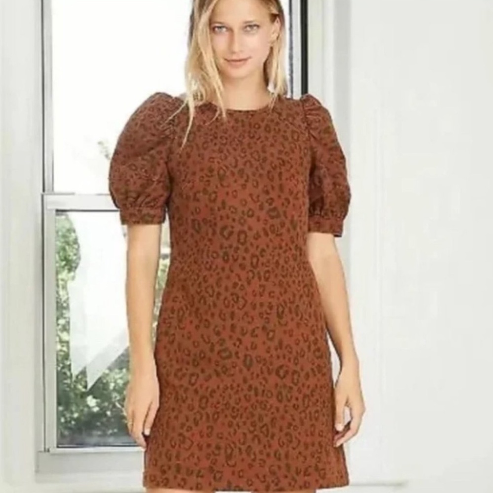Target Denim Leopard Print Dress